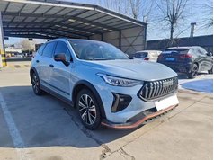 哈弗赤兔 2022款 1.5L DHT王者兔