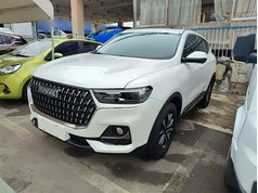 哈弗H6 2023款 国潮版 1.5T 自动都市版