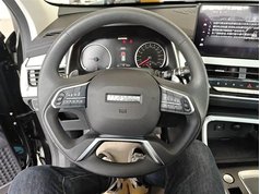 哈弗H6 2025款 1.5T 国潮都市版