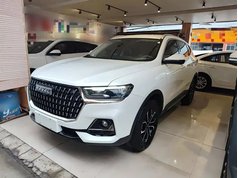 哈弗H6 2023款 国潮版 1.5T 自动都市版