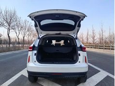 哈弗H6 2021款 第三代 2.0T 自动两驱Max