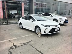 卡罗拉 2023款 1.2T 先锋版