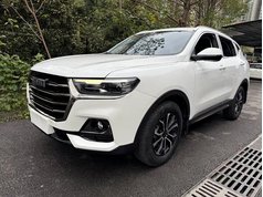 哈弗H6 2021款 国潮版 1.5T 自动都市版