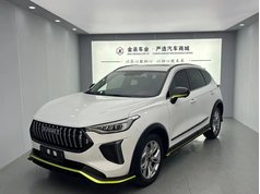 哈弗赤兔 2022款 劲享版 1.5T 紫铜兔