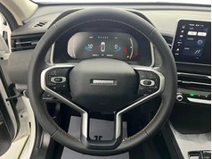 哈弗赤兔 2022款 劲享版 1.5T 紫铜兔