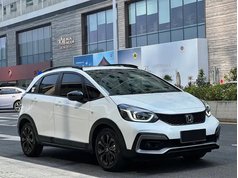 LIFE 2021款 1.5L CVT CRO-S乐趣版