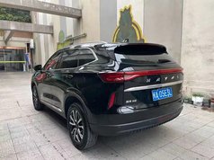 哈弗H6 2024款 1.5T 两驱Max
