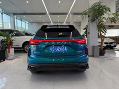 哈弗赤兔 2021款 激擎版 1.5T 黄金兔