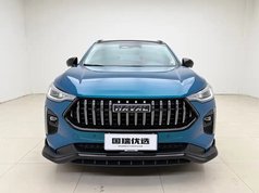 哈弗赤兔 2021款 激擎版 1.5T 铂金兔