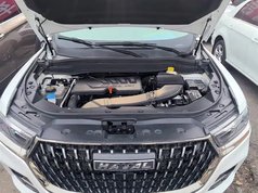 哈弗H6 2021款 国潮版 1.5GDIT 自动冠军版