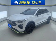 哈弗赤兔 2021款 激擎版 1.5T 黄金兔