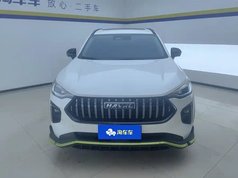 哈弗赤兔 2021款 激擎版 1.5T 黄金兔