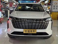 哈弗H6 2024款 1.5T 两驱Max