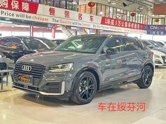 奥迪Q2L 2021款 35 TFSI 进取动感型