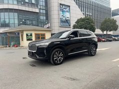 哈弗H6 2024款 1.5T 两驱Max