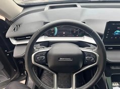 哈弗H6 2024款 1.5T 两驱Max