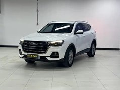 哈弗H6 2021款 国潮版 1.5T 自动冠军版