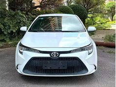 雷凌 2022款 TNGA 1.5L CVT进取版