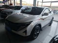 逍客 2025款 荣誉 2.0L CVT XV真心版