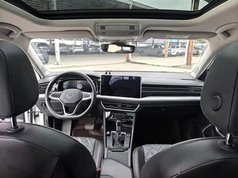 速腾 2023款 300TSI DSG飞越版