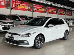 高尔夫 2021款 280TSI DSG 30周年纪念版