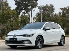 高尔夫 2021款 280TSI DSG Pro