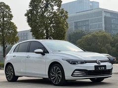 高尔夫 2021款 280TSI DSG Pro