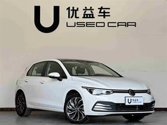 高尔夫 2023款 改款 280TSI DSG Pro