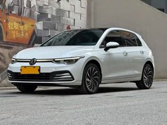 高尔夫 2023款 改款 280TSI DSG Pro