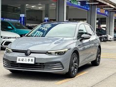 高尔夫 2021款 280TSI DSG Pro