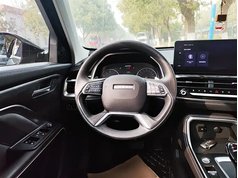 哈弗H6 2021款 国潮版 1.5T 自动都市版
