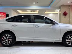 朗逸 2024款 300TSI DSG星空满逸版