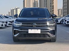 途岳 2023款 300TSI 两驱皎月版