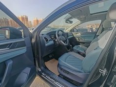 途岳 2023款 300TSI 两驱皎月版