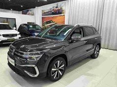 途岳 2023款 300TSI 两驱皎月版