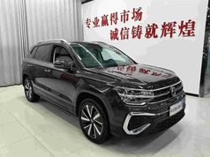 途岳 2023款 300TSI 两驱皎月版
