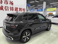 途岳 2023款 300TSI 两驱皎月版