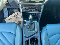 途岳 2023款 300TSI 两驱皎月版