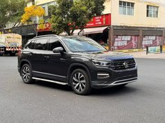 探岳 2021款 330TSI 两驱30周年纪念版