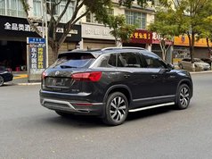 探岳 2021款 330TSI 两驱30周年纪念版