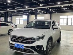探岳 2024款 300TSI 两驱豪华Plus进阶版