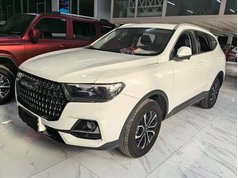 哈弗H6 2025款 1.5T 国潮都市版