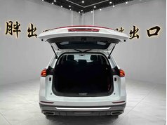 哈弗H6 2021款 国潮版 1.5T 自动冠军版