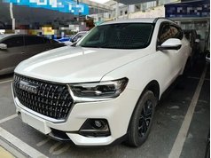 哈弗H6 2023款 国潮版 1.5T 自动都市版