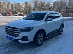 哈弗H6 2023款 国潮版 1.5T 自动冠军版