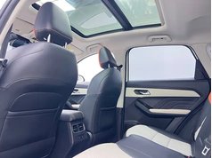 哈弗赤兔 2021款 激擎版 1.5T 铂金兔