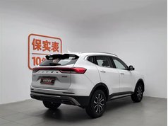 哈弗H6 2023款 国潮版 1.5T 自动都市版