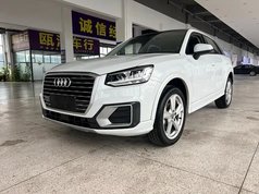 奥迪Q2L 2021款 35 TFSI 豪华致雅型