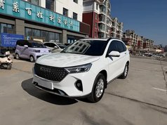 哈弗M6 2021款 PLUS 1.5T 手动豪华智联型