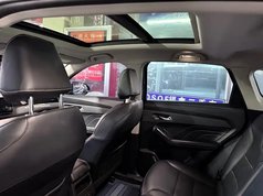 哈弗赤兔 2022款 劲享版 1.5T 紫铜兔